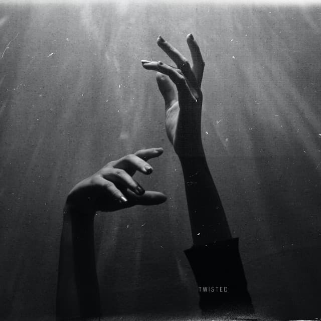Twisted by Seibold × Anna Graceman — album artwork