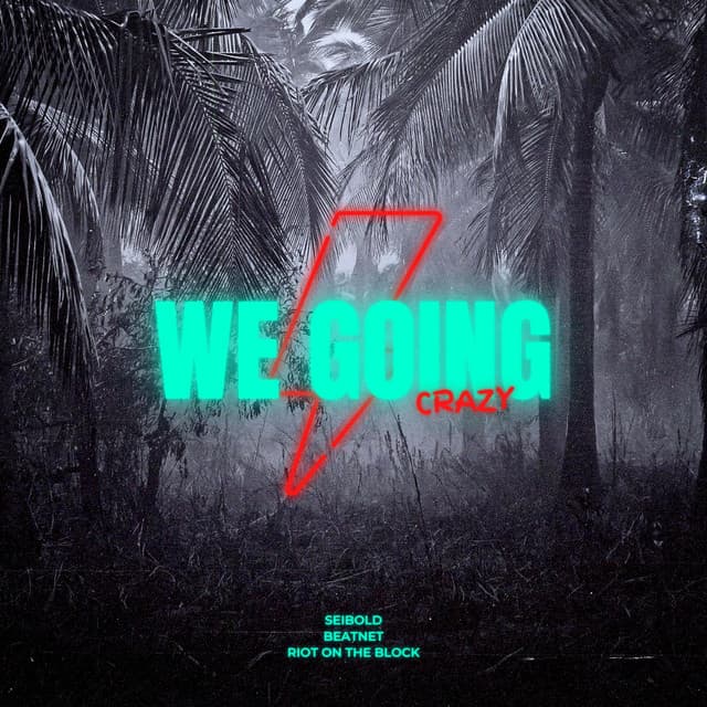 We Going Crazy by Seibold × Riot on the Block — album artwork