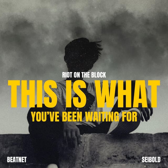 This Is What You've Been Waiting For by Seibold × Riot on the Block × Beatnet — album artwork