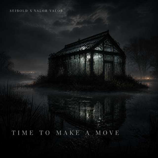 Time to Make a Move by Seibold × Valor Valor — album artwork