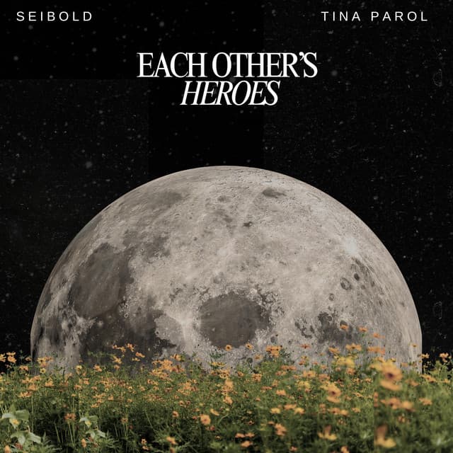 Each Other's Heroes by Seibold × Tina Parol — album artwork