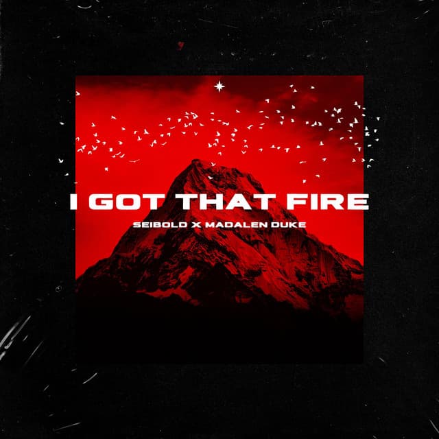 I Got That Fire by Seibold — album artwork