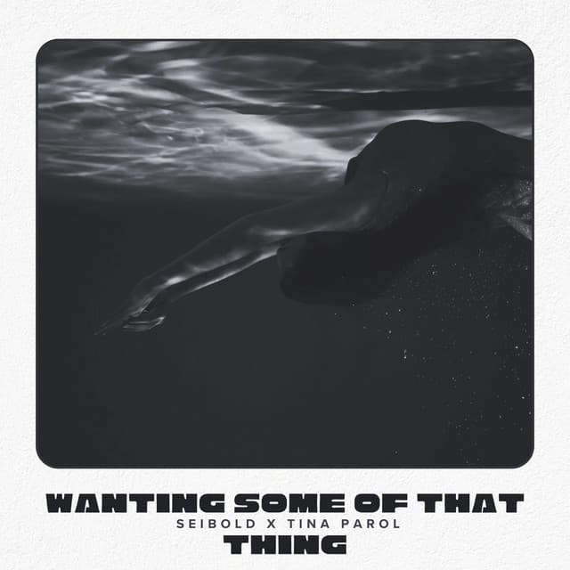 Wanting Some of That Thing by Seibold × Tina Parol — album artwork