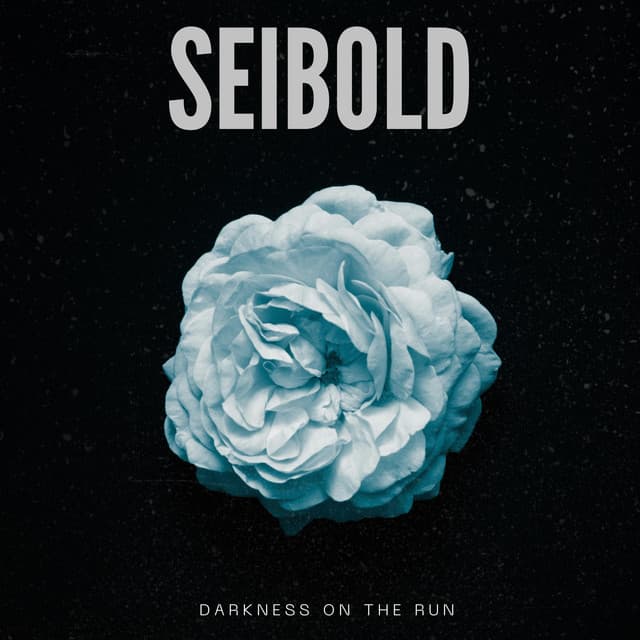 Darkness on the Run by Seibold — album artwork