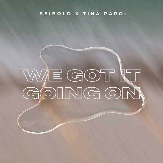 We Got It Going On by Seibold × Tina Parol — album artwork